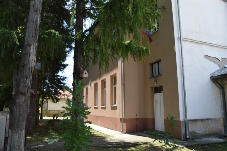 Зграда школе у Великом Орашју